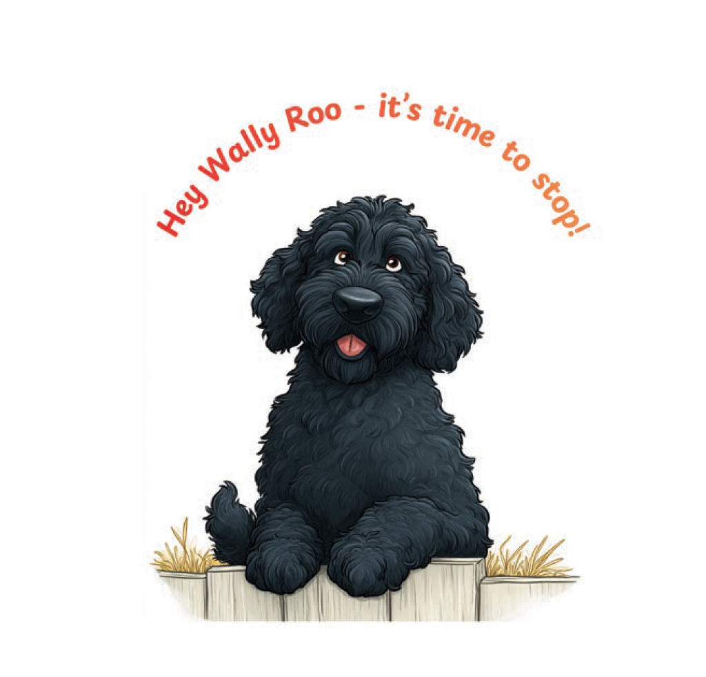 Gently McBently sitting on a wooden box with text 'Hey Wally Roo - it's time to stop!' - Childrens Picture Book